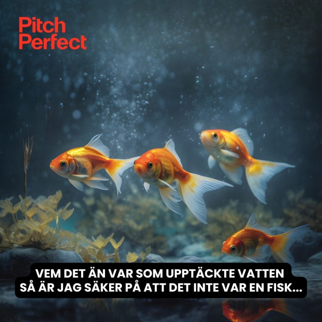 Bild på fiskar
